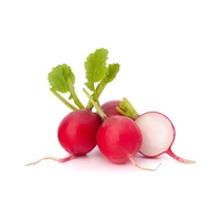 ingredients-1